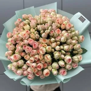 35 веток кустовых роз Кристи (Kristine)