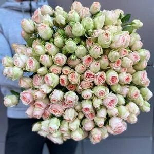25 веток кустовых роз Кристи (Kristine)