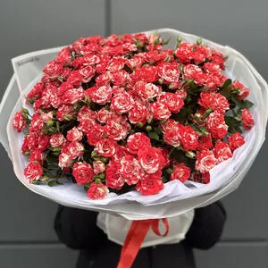 Кустовая роза Ред пиано (Red Piano) 35 веток