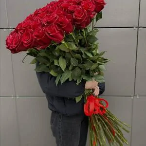 Букет 51 метровая роза Фридом (Freedom)