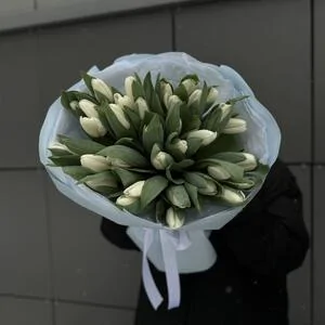 35 белых тюльпанов