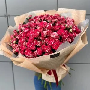Кустовая роза Ред пиано (Red Piano) 35 веток