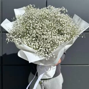 Букет из гипсофилы 9 (21 шт.)