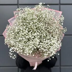 Букет из гипсофилы 6 (15 шт.)