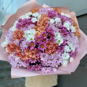 401 микс ромашка