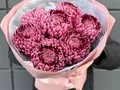 7 шт. Хризантем Бигуди