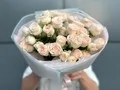 7 веток пионовидных кустовых роз София  (Sofia)