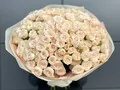51 ветка пионовидных кустовых роз София (Sofia)