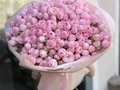 51 ветка пионовидных кустовых роз Мэнсфилд Парк Пинк (Mansfield Park Pink)