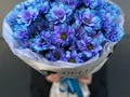 51 синяя ромашка