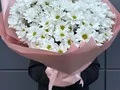 251 белая ромашка