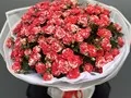 25 веток кустовых роз Файер Воркс (Fireworks)