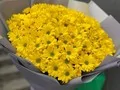 201 желтая ромашка