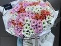 351 микс ромашка