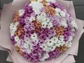 501 микс ромашка