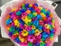 301 радужная ромашка