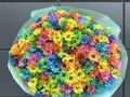501 радужная ромашка