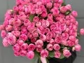 35 веток кустовых роз Жизель (Giselle)