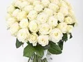 Букет 33 розы Вайт Наоми (White Naomi)