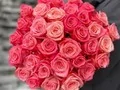 Букет 33 розы Казанова (Casanova)