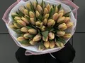 51 персиковых тюльпанов