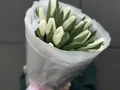15 белых тюльпанов