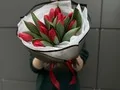 15 красных тюльпанов