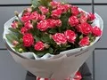 7 веток кустовых роз Файер Воркс (Fireworks)