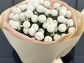 7 веток белой хризантемы Ньютон