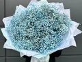 Букет из гипсофилы 7 (21 шт.)